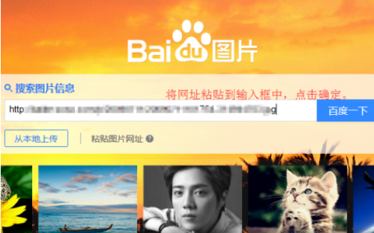 国产精品a免费一区久久电影